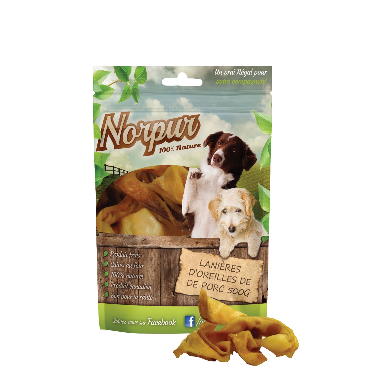 Are Pig Ears Okay To Give Small Dogs