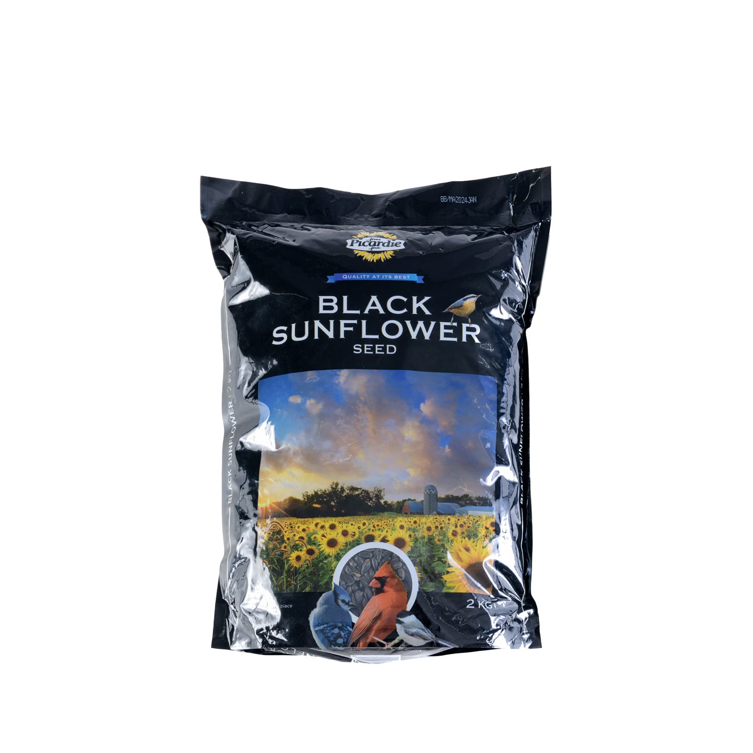 Black Oil Sunflower Seeds for Wild Birds, 2 kg Picardie | Mondou
