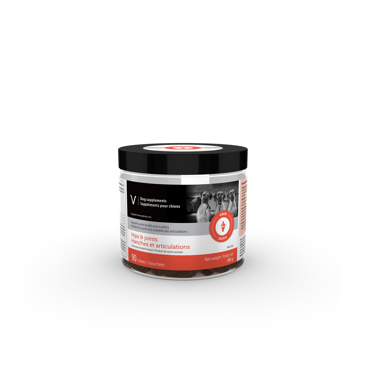 Hips and Joints Supplement Chews for Dogs V | Mondou