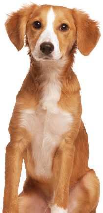 M’abonner à l’infolettre