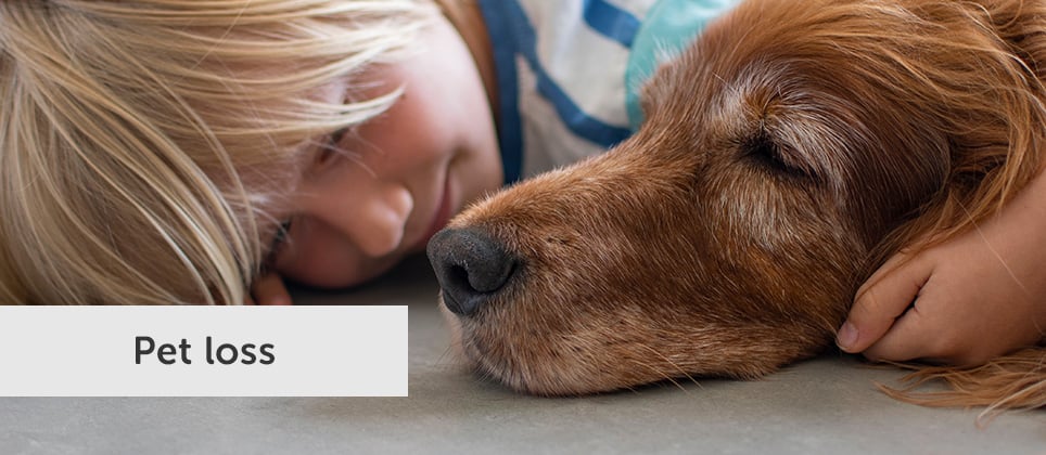5 ways to honour your pet’s memory