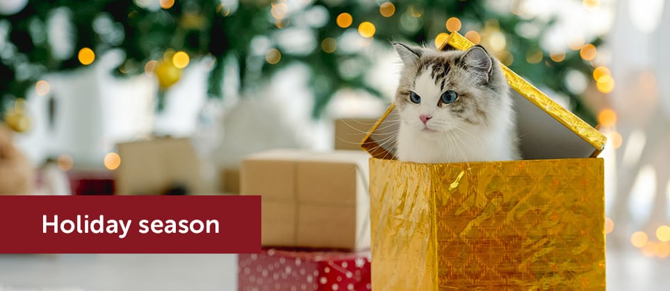 Giving a pet as a present: is it a good or a bad idea?